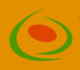 LPI Al-Aqsha logo