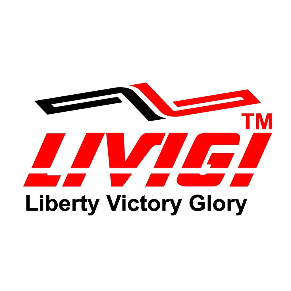LIVIGI logo