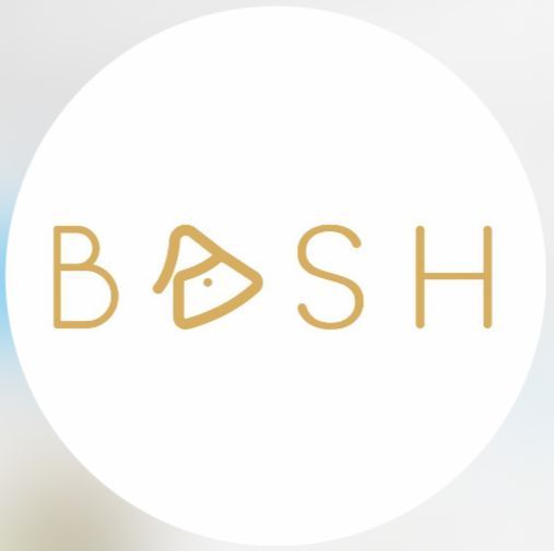 The Bag Wash Bash