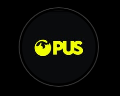 Opus Konveksi Malang