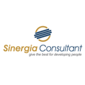 Sinergia Consultant