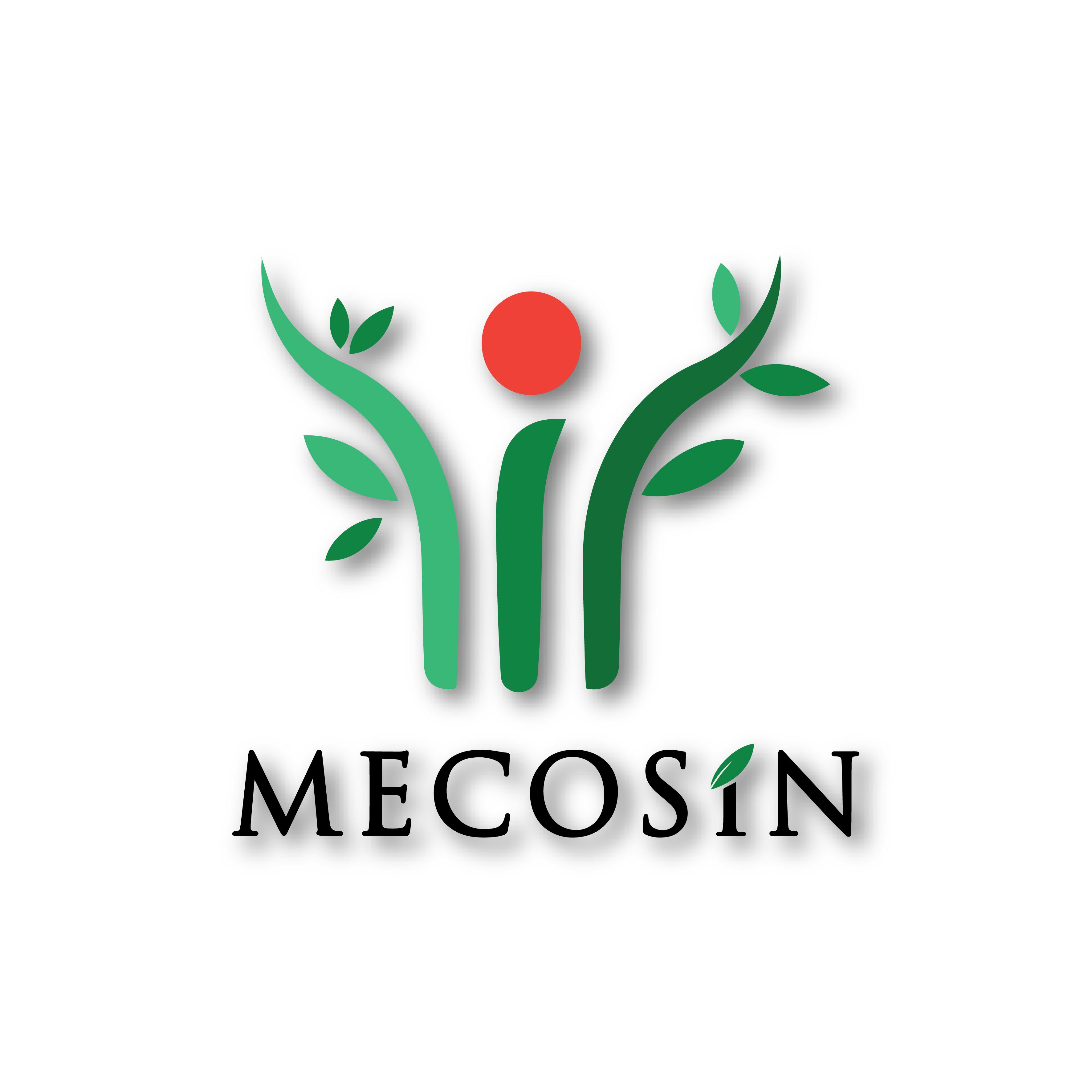 Pt Mecosin Indonesia