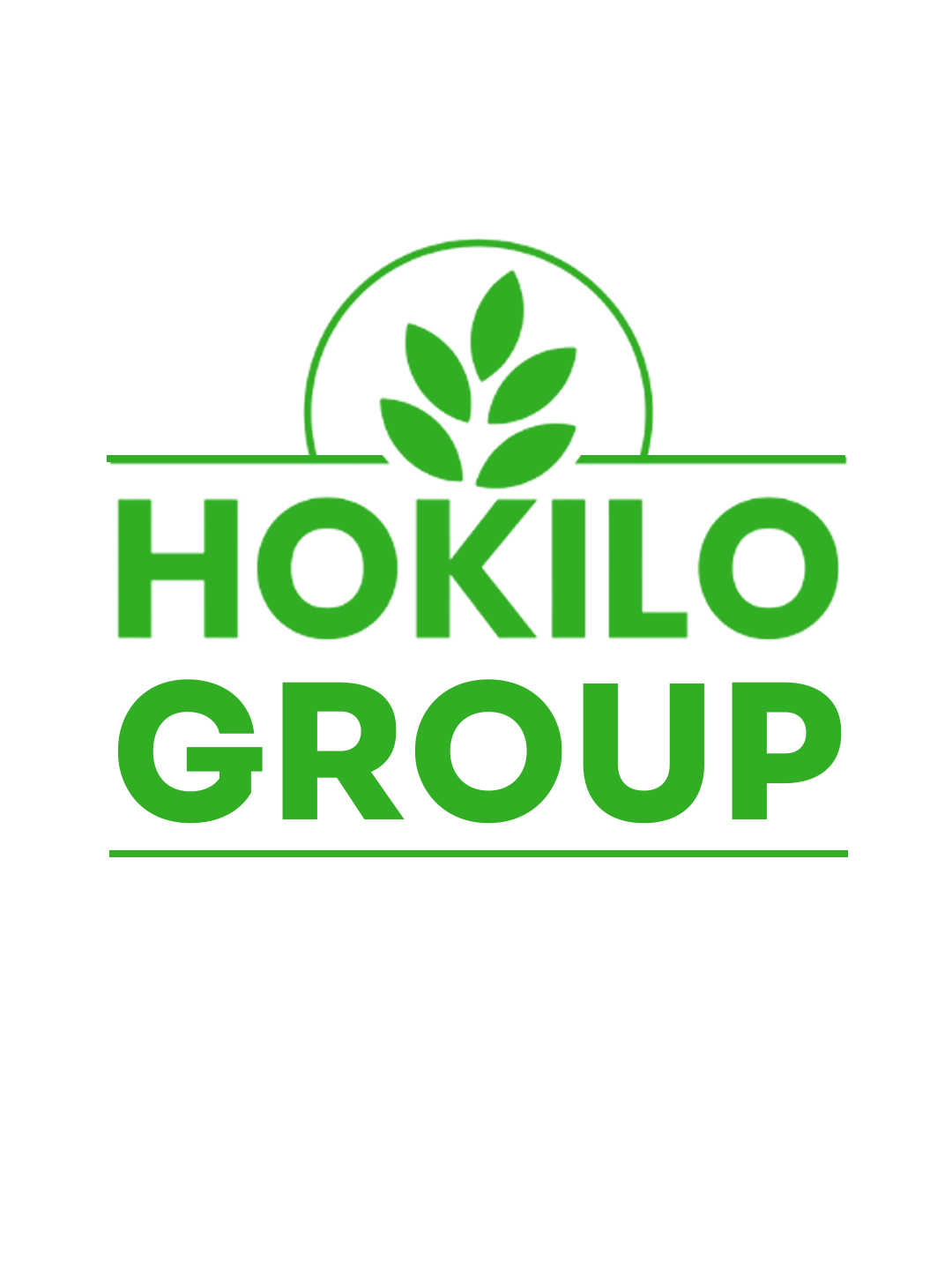 PT Hokilo Sukses Mandiri