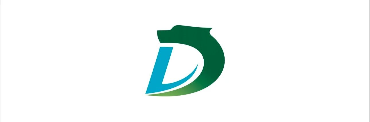 SHENZHEN DELIN DATONG INVESTMENT CO LTD
