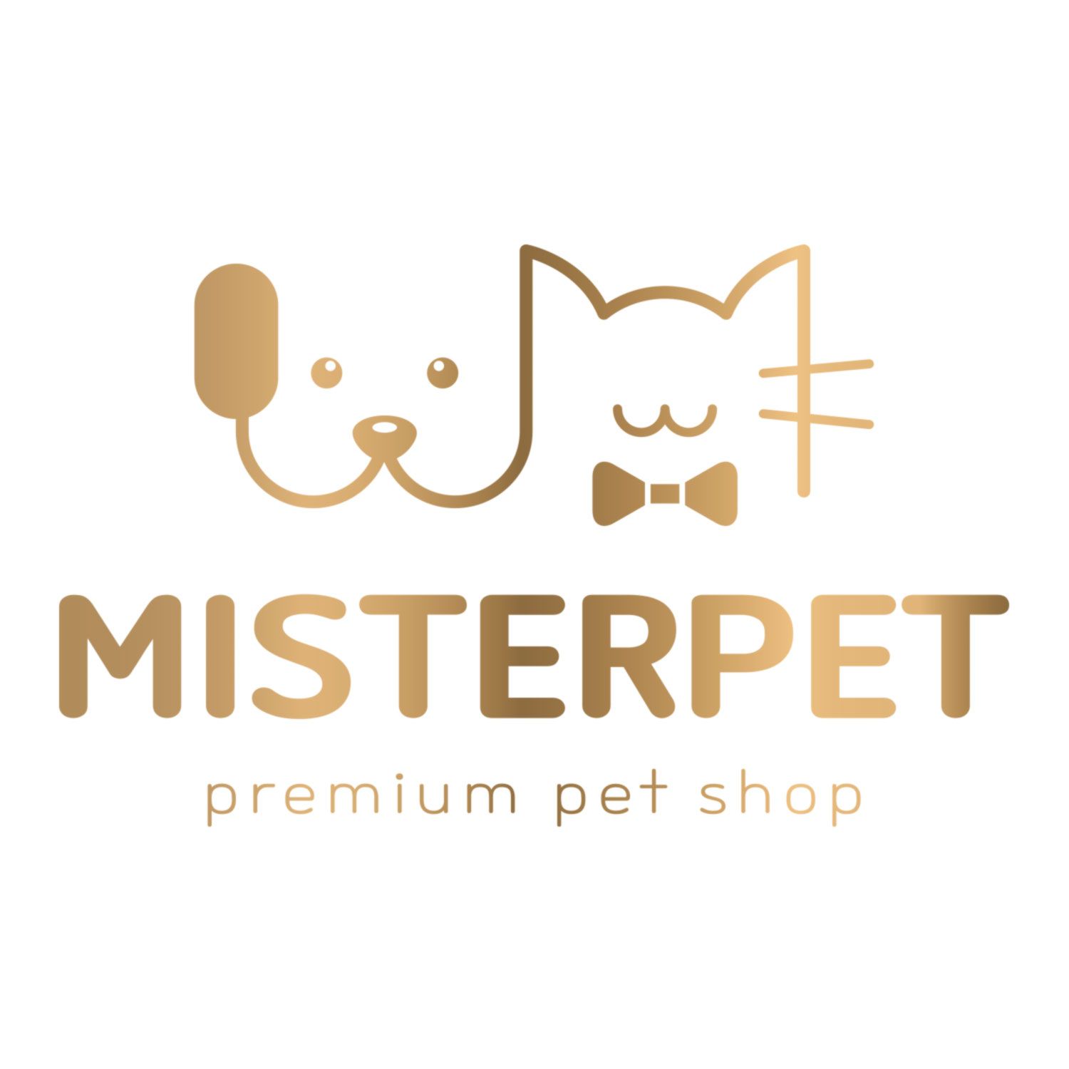 Mister Corp Indonesia