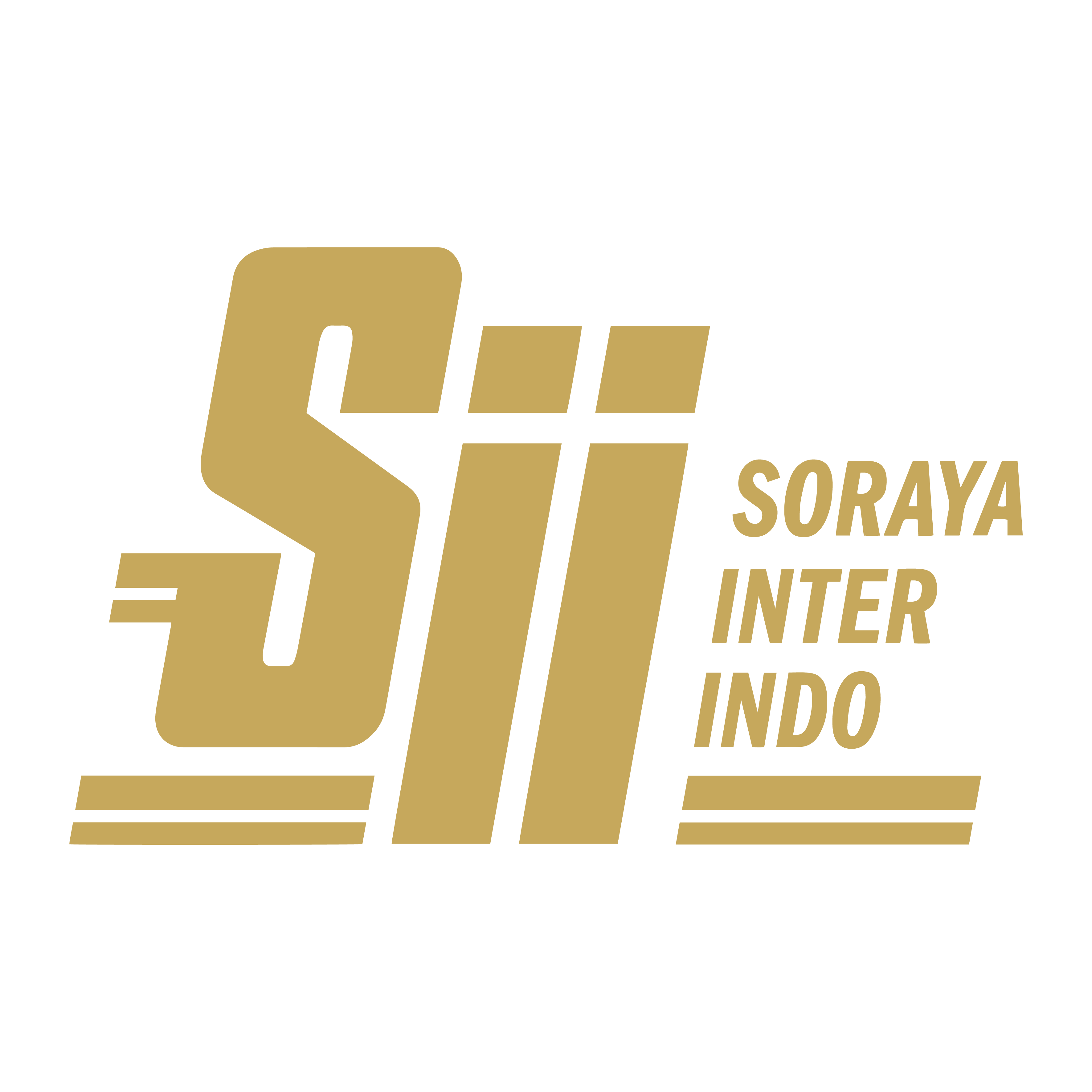 PT. Soraya Interindo
