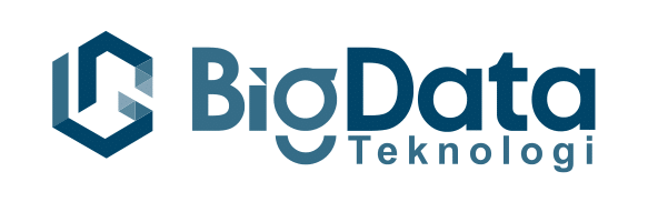 PT Bigdata Media Teknologi logo