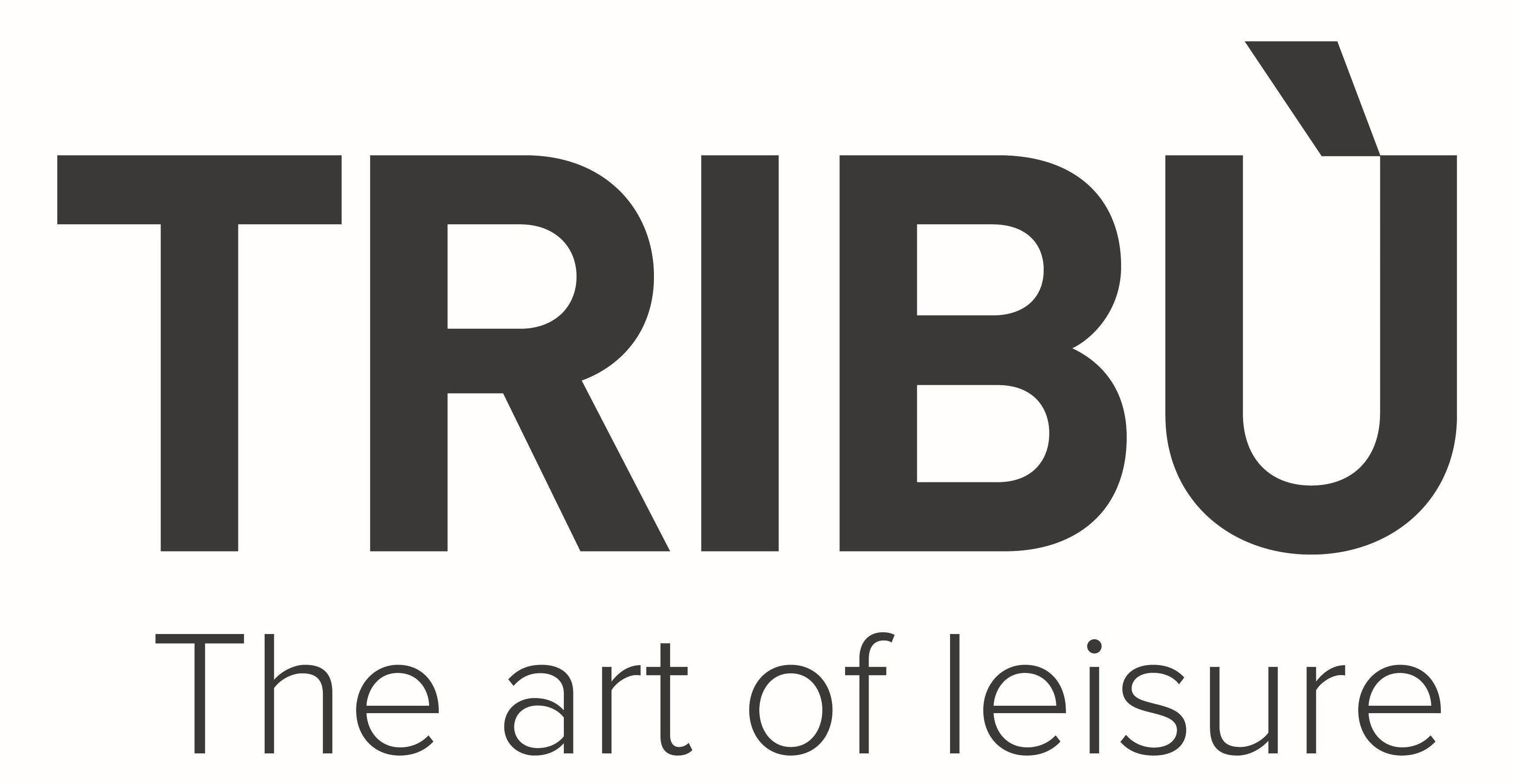 BUT TRIBU NV DE COCK SA logo