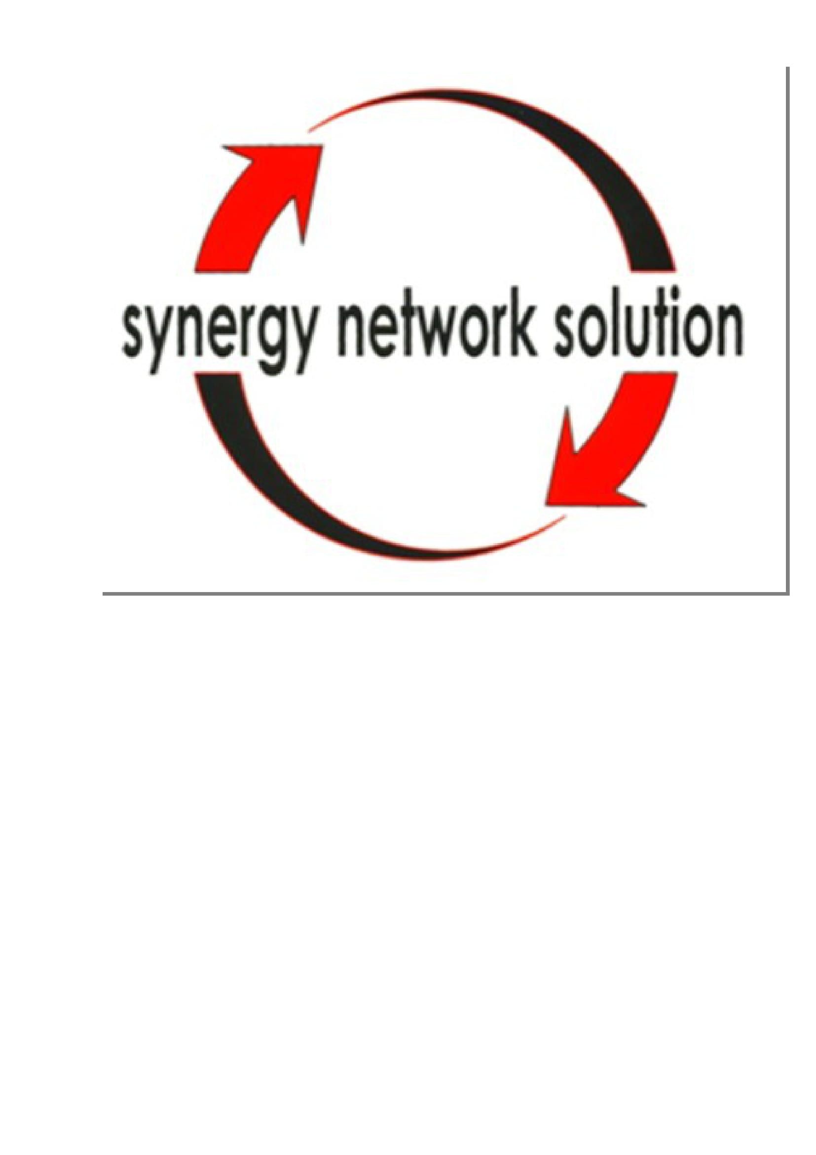 PT SYNERGY NETWORK SOLUTION logo