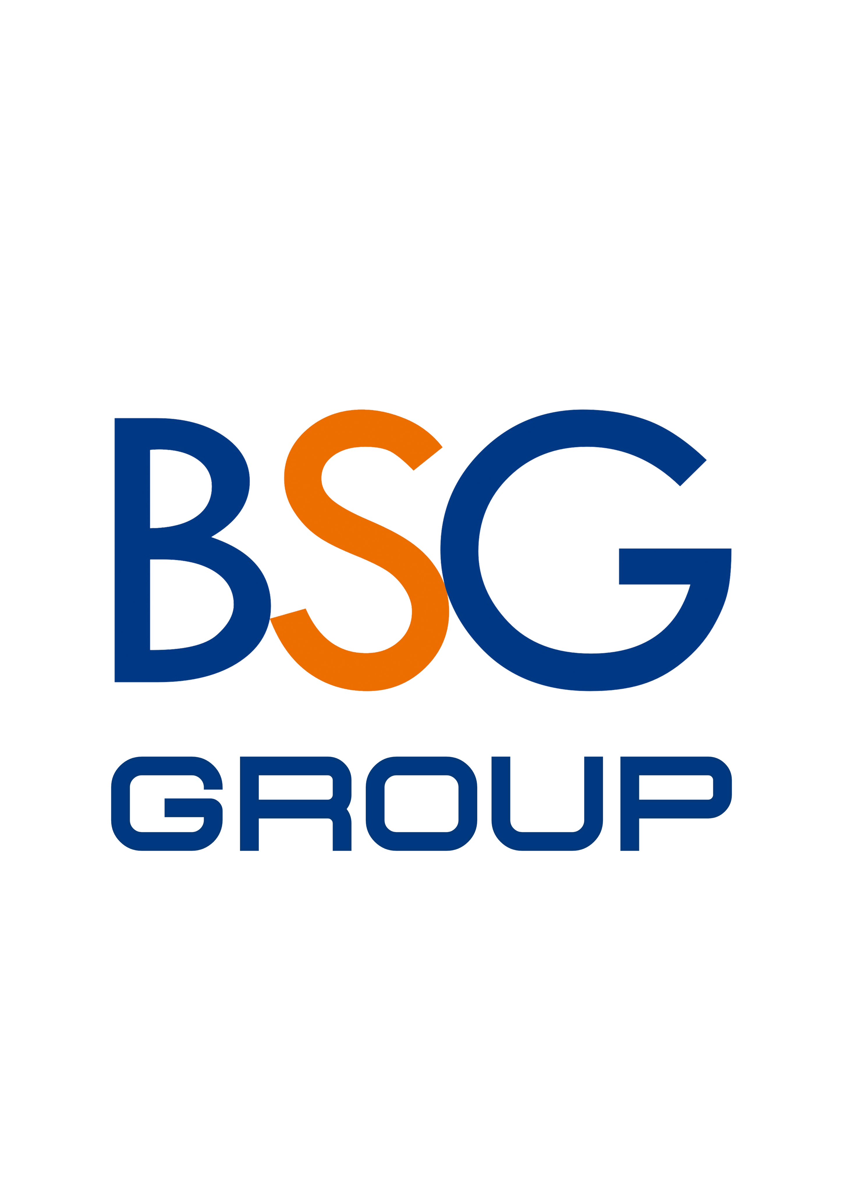 BSG Group