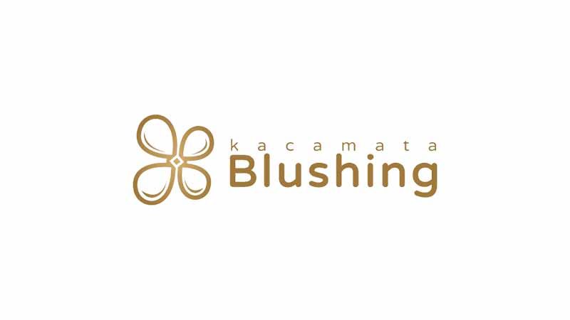 PT. Blushing Vision Retailindo