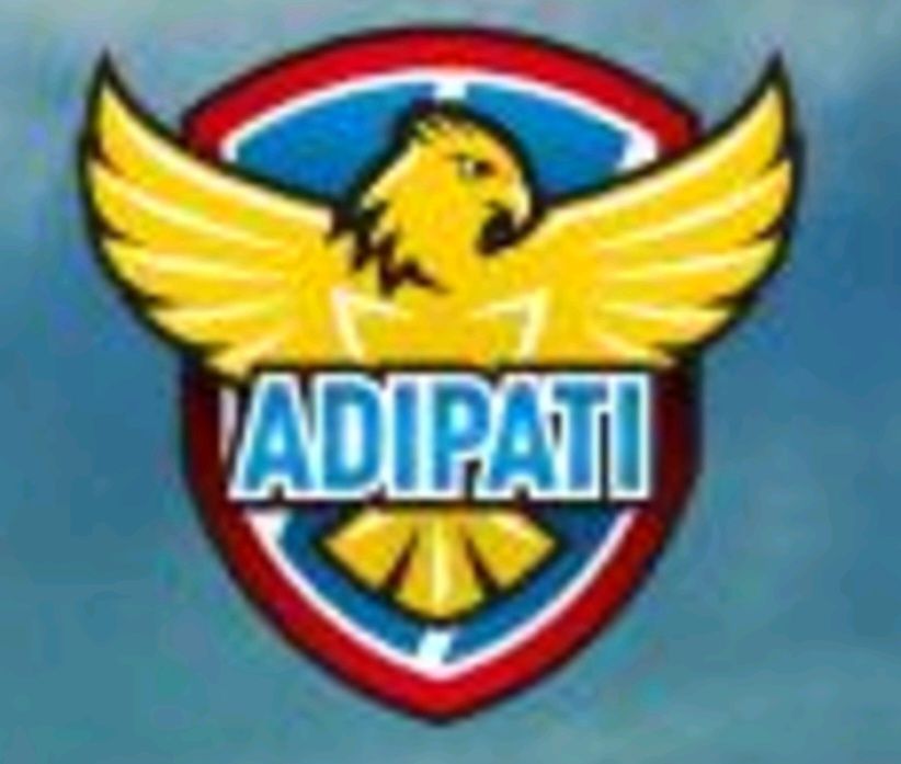 PT ADIPATI PERKASA NUSANTARA