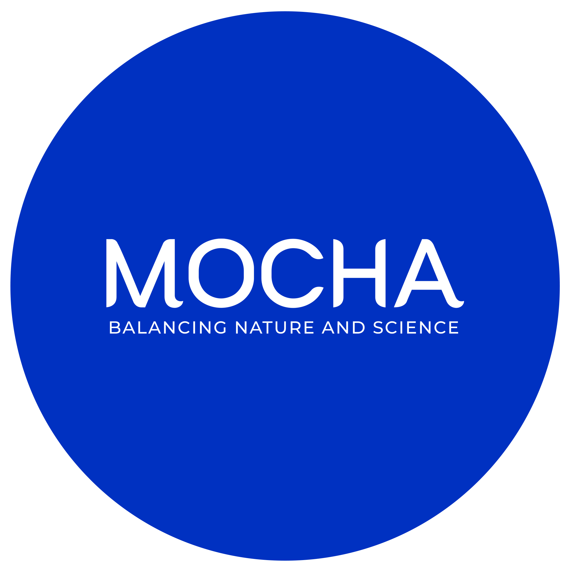 Mocha Group