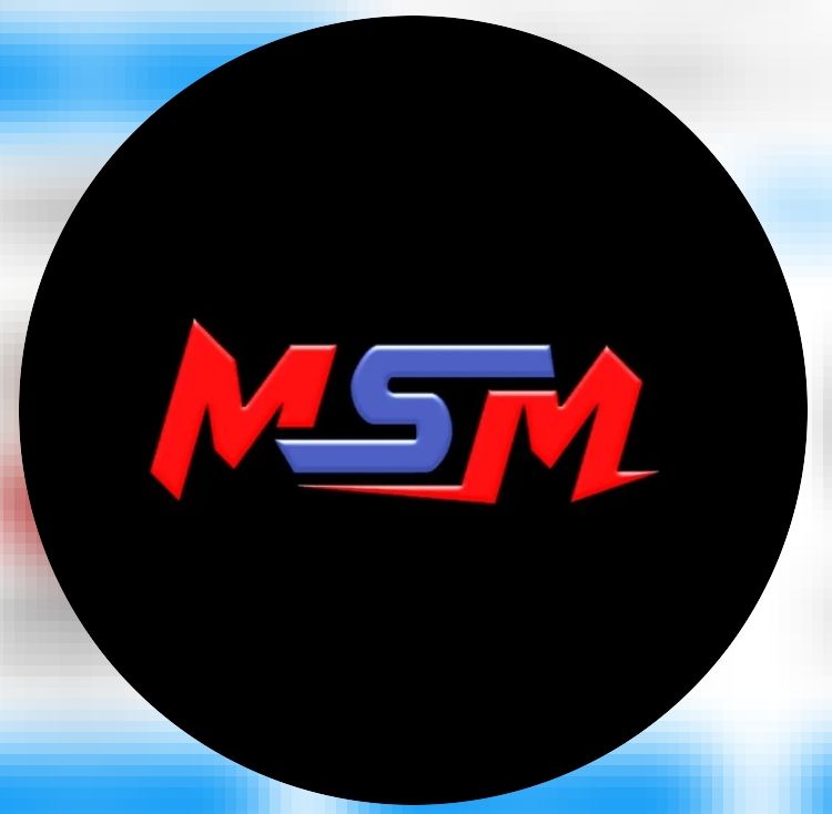 PT AGENCY MSM INTERNATIONAL