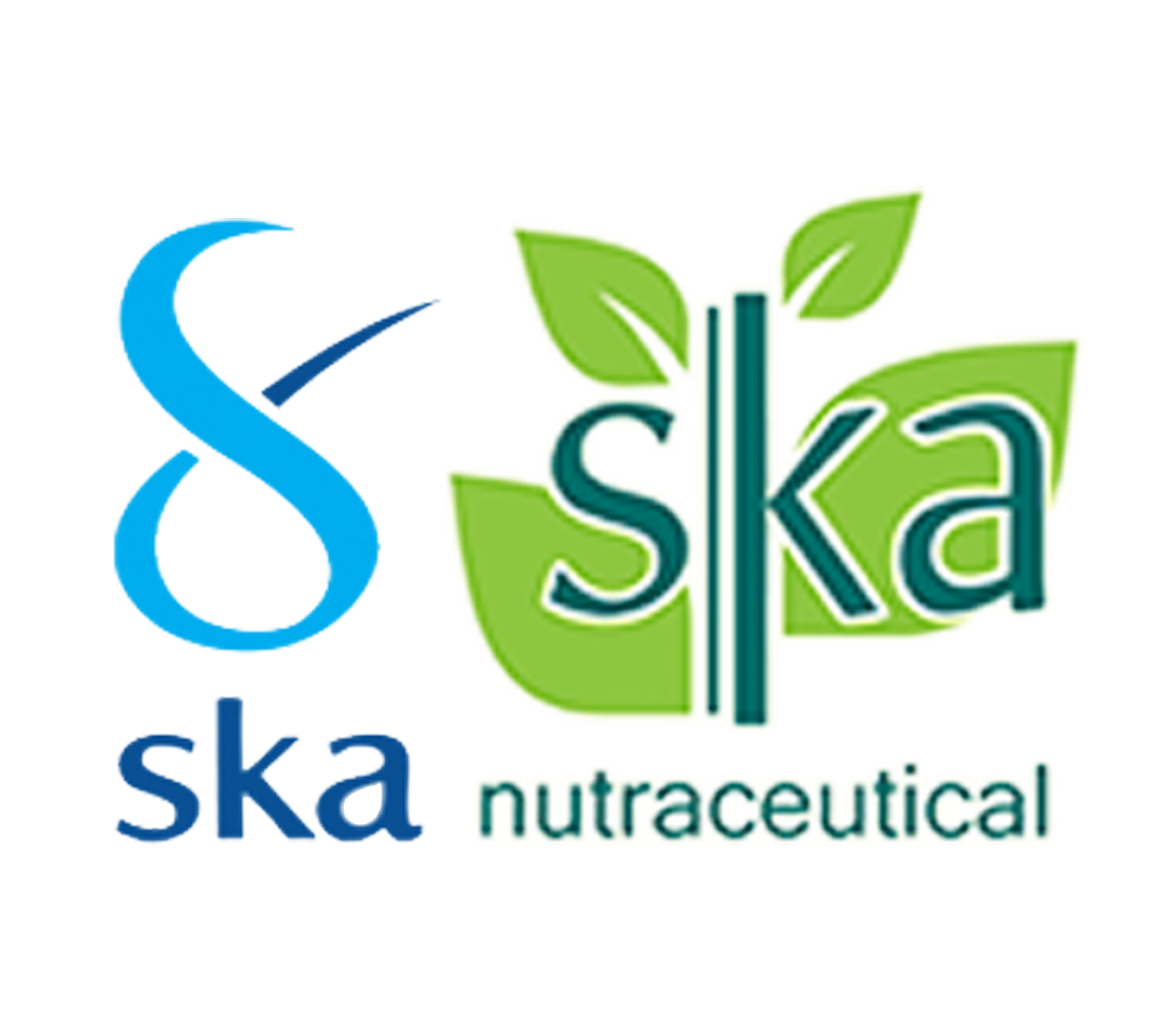 PT. Setia Kawan Abadi logo