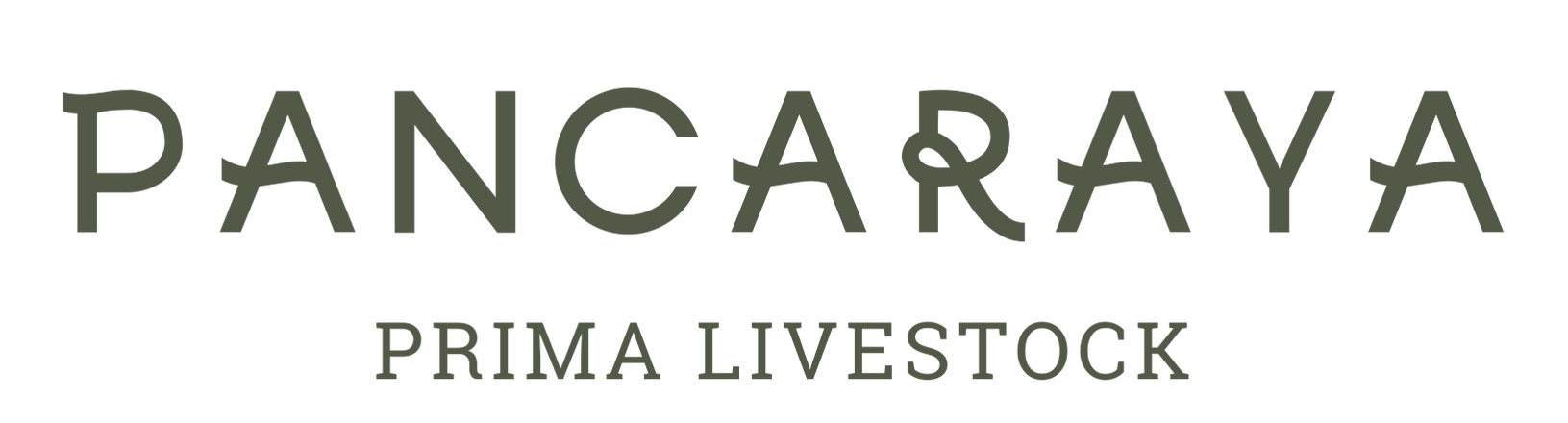 PT Pancaraya Prima Livestock