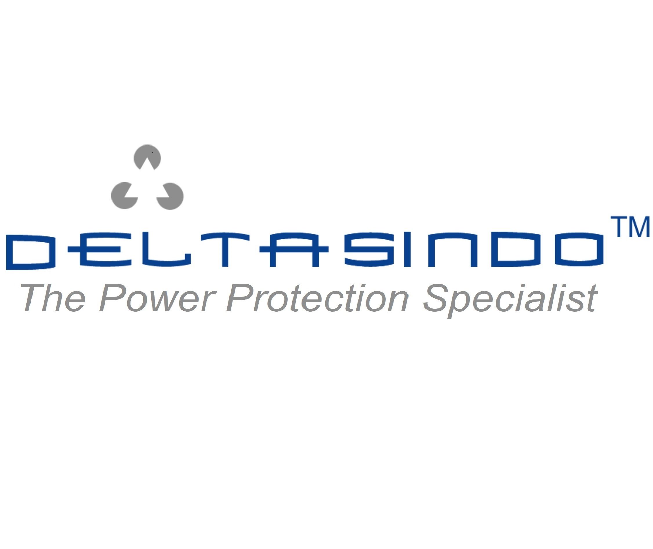 PT Deltasindo Raya Sejahtera