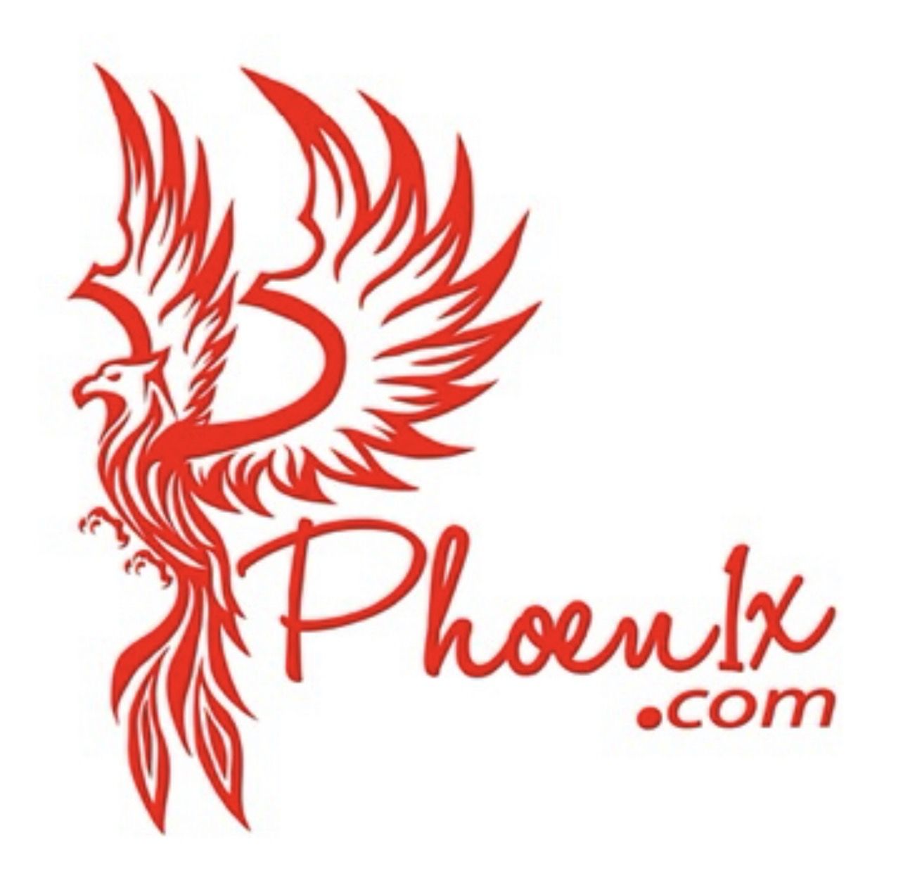 PT. Phoen1x Konsultan Indonesia logo