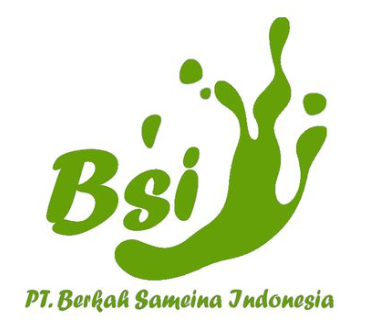 BERKAH SAMEINA INDONESIA