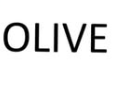 Olive Salon Surabaya logo
