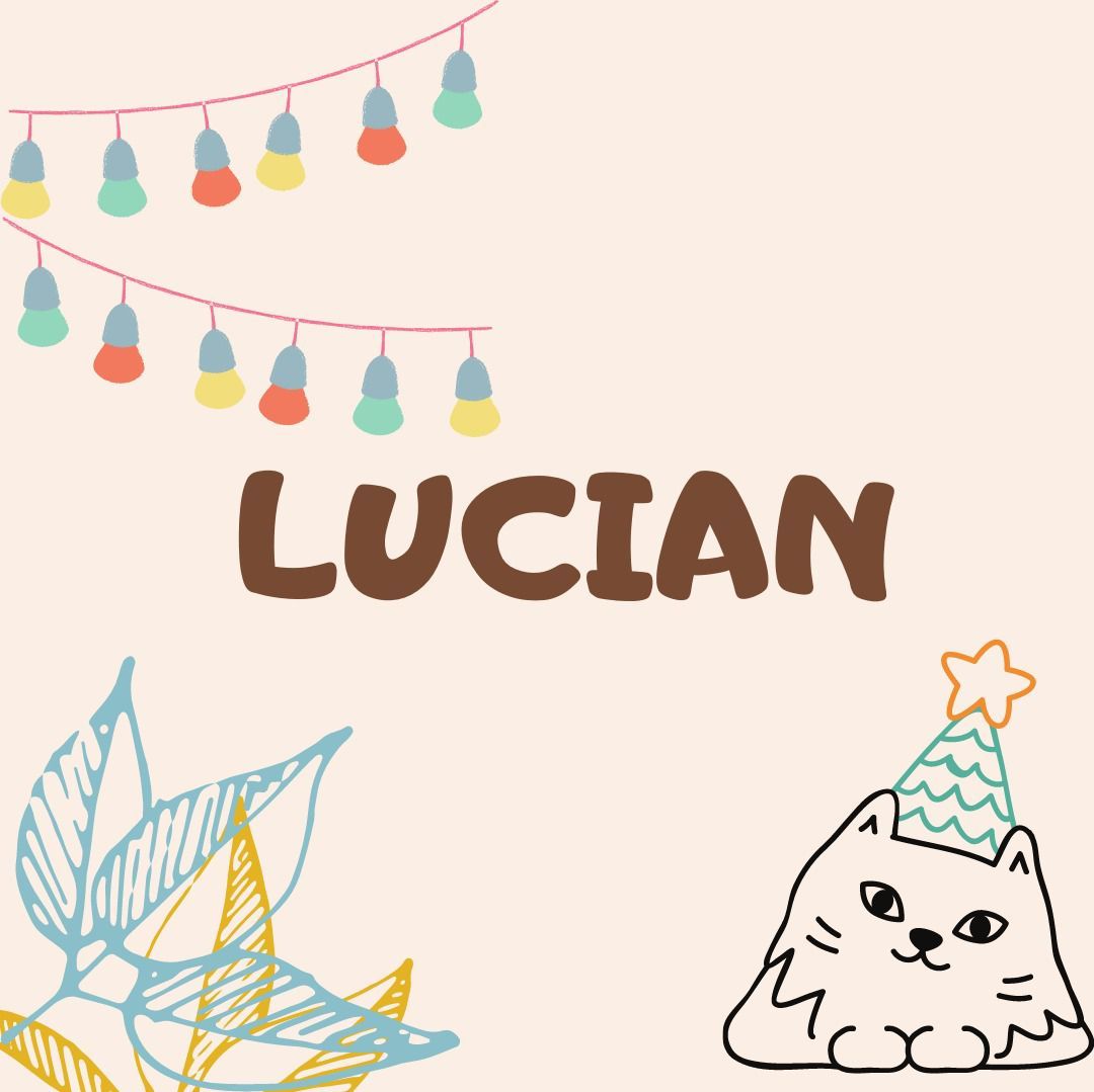 Lucian Management