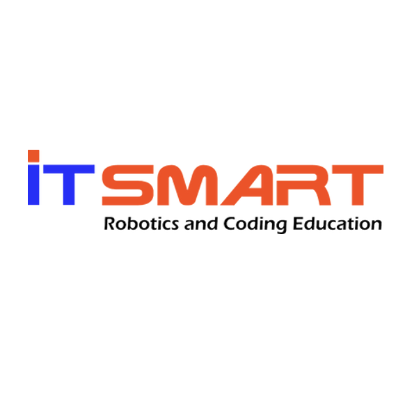 IT SMART logo