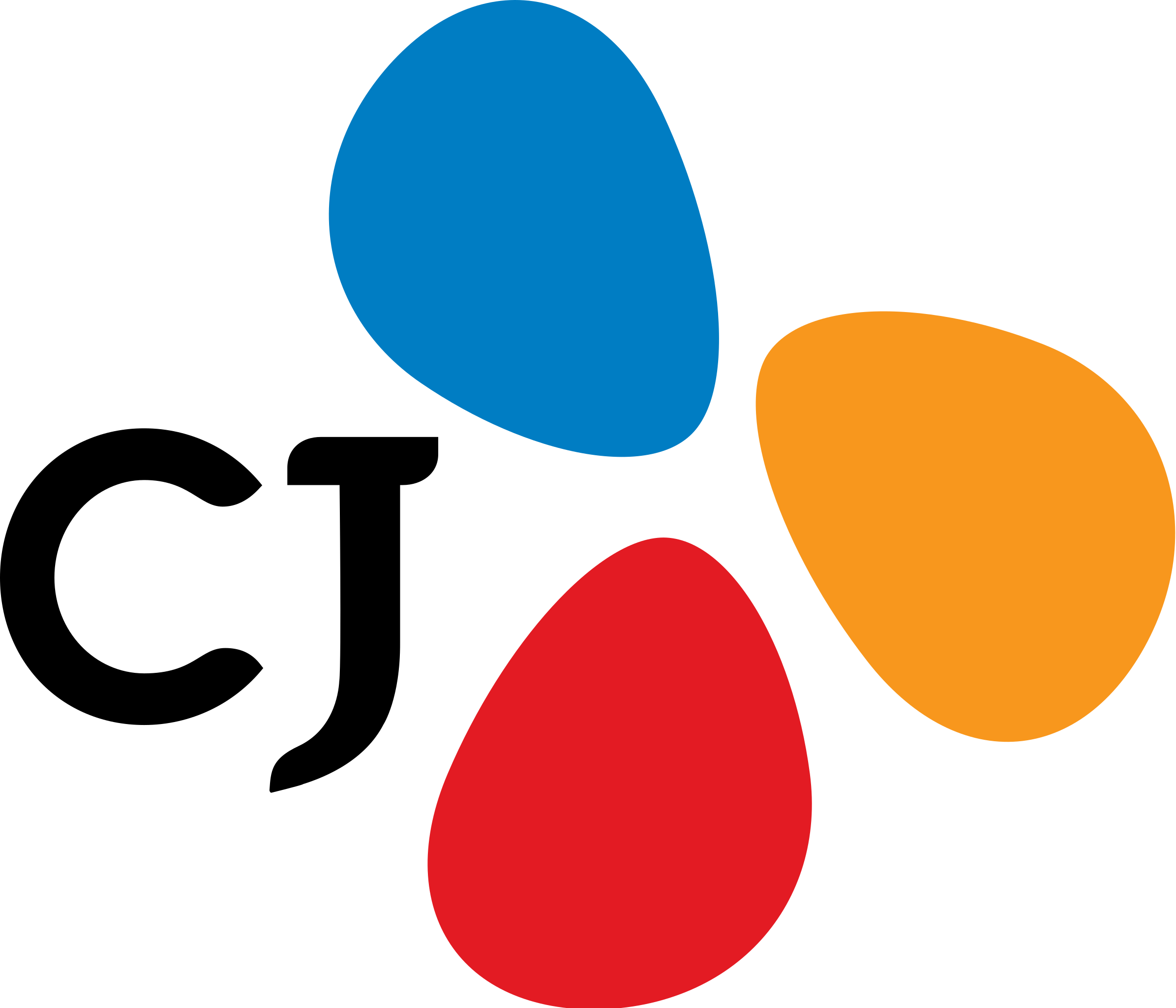 Cj Olivenetworks Vina Co., Ltd