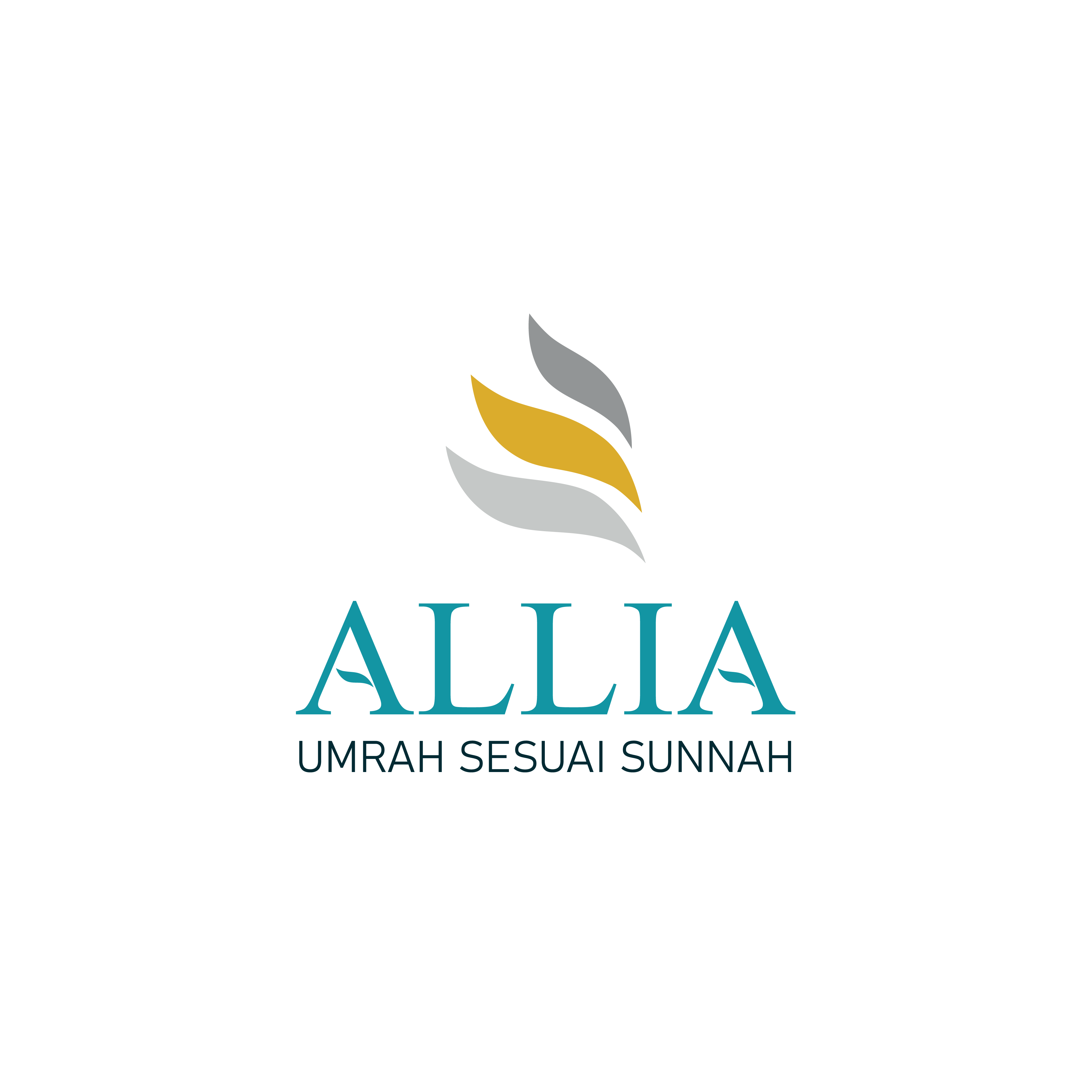 Allia Tour & Travel