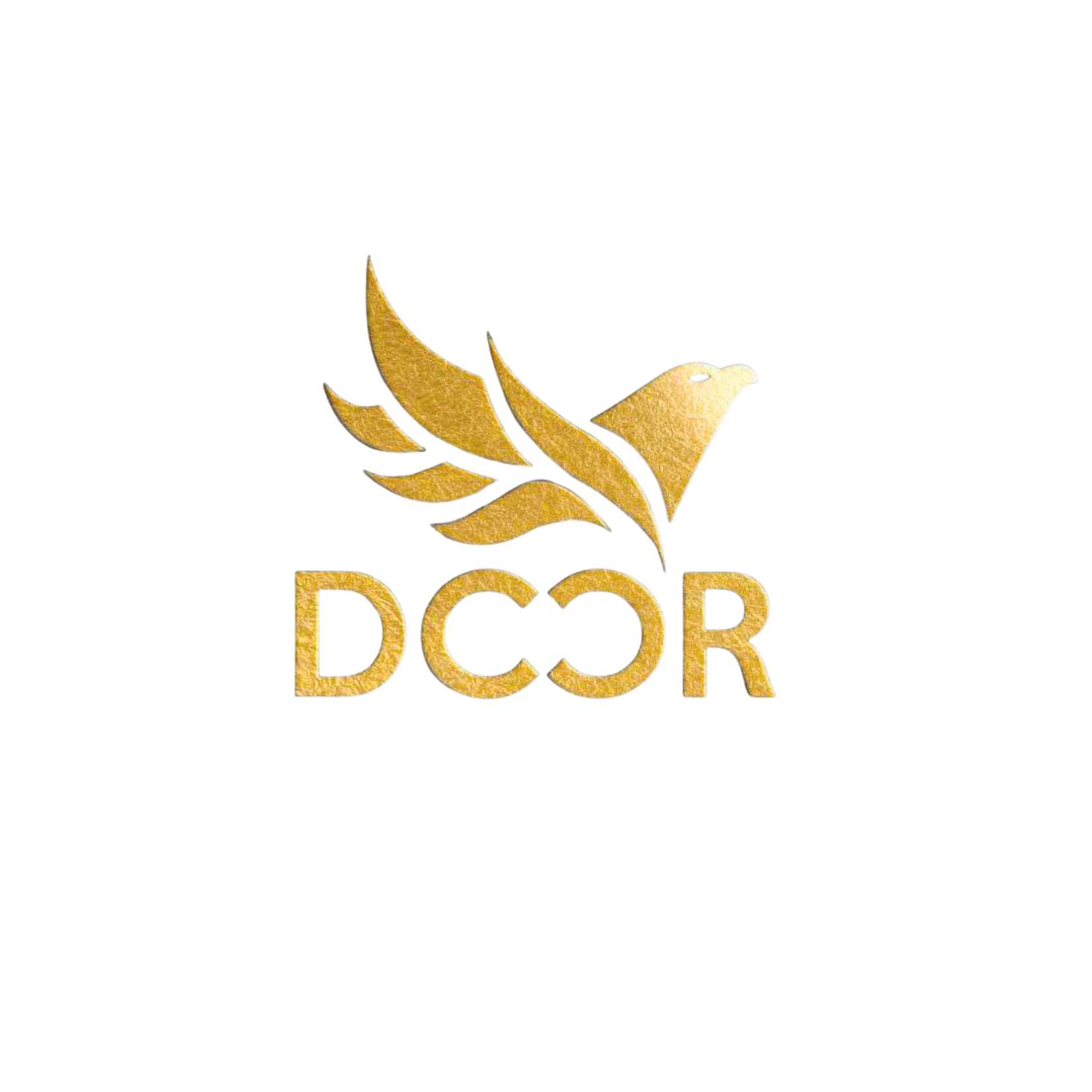Công ty Cổ phần HolaKids (DCCR)