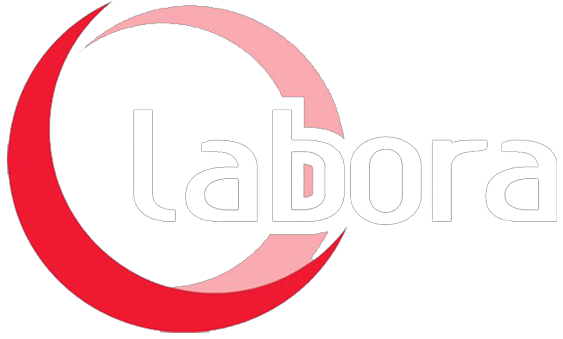 Lowongan Operator Forklift Labora Duta Anugrah Pekanbaru