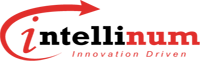 Pt. Intellinum Solusi Indonesia logo