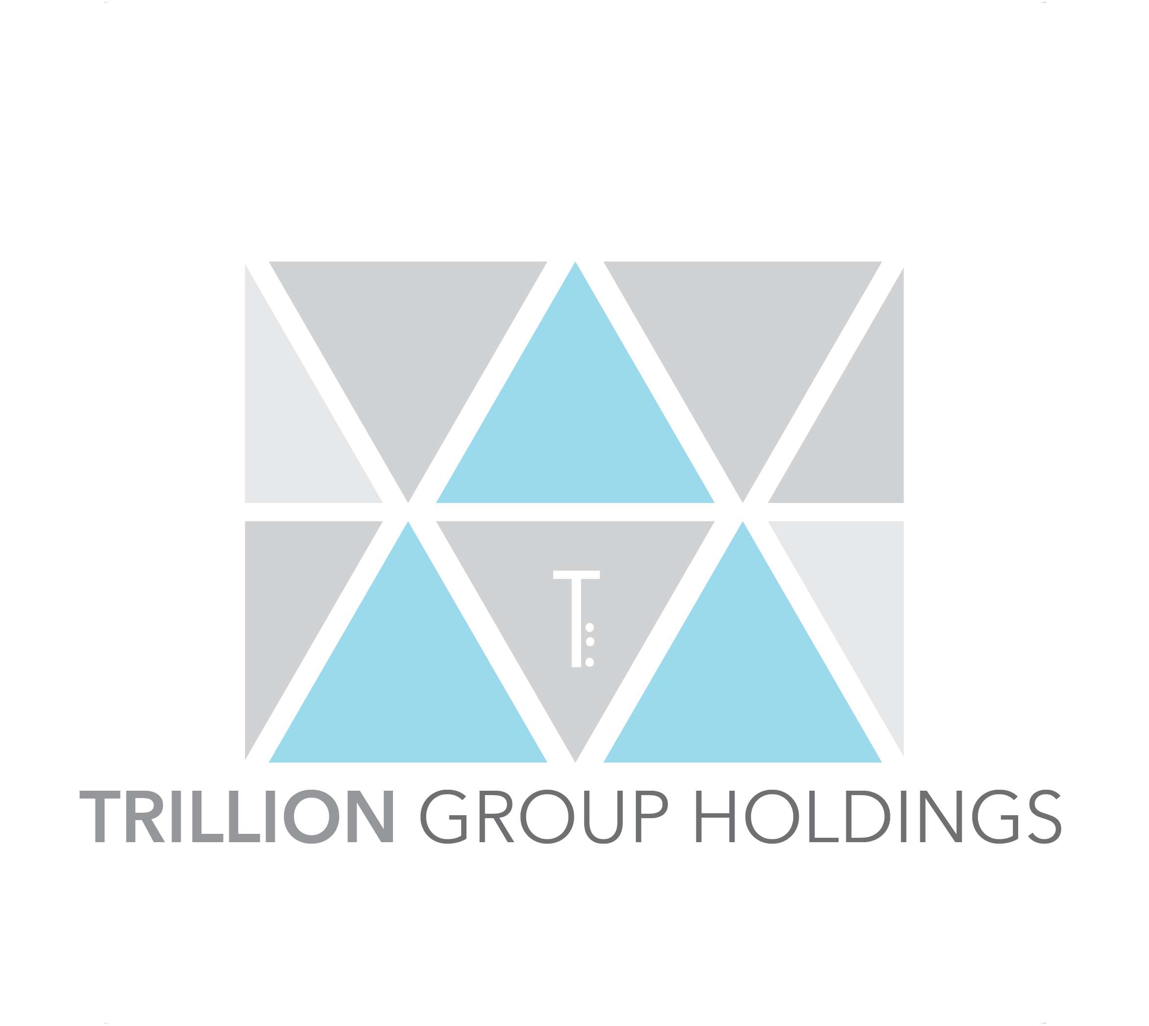 Trillion Group Holdings Pte Ltd