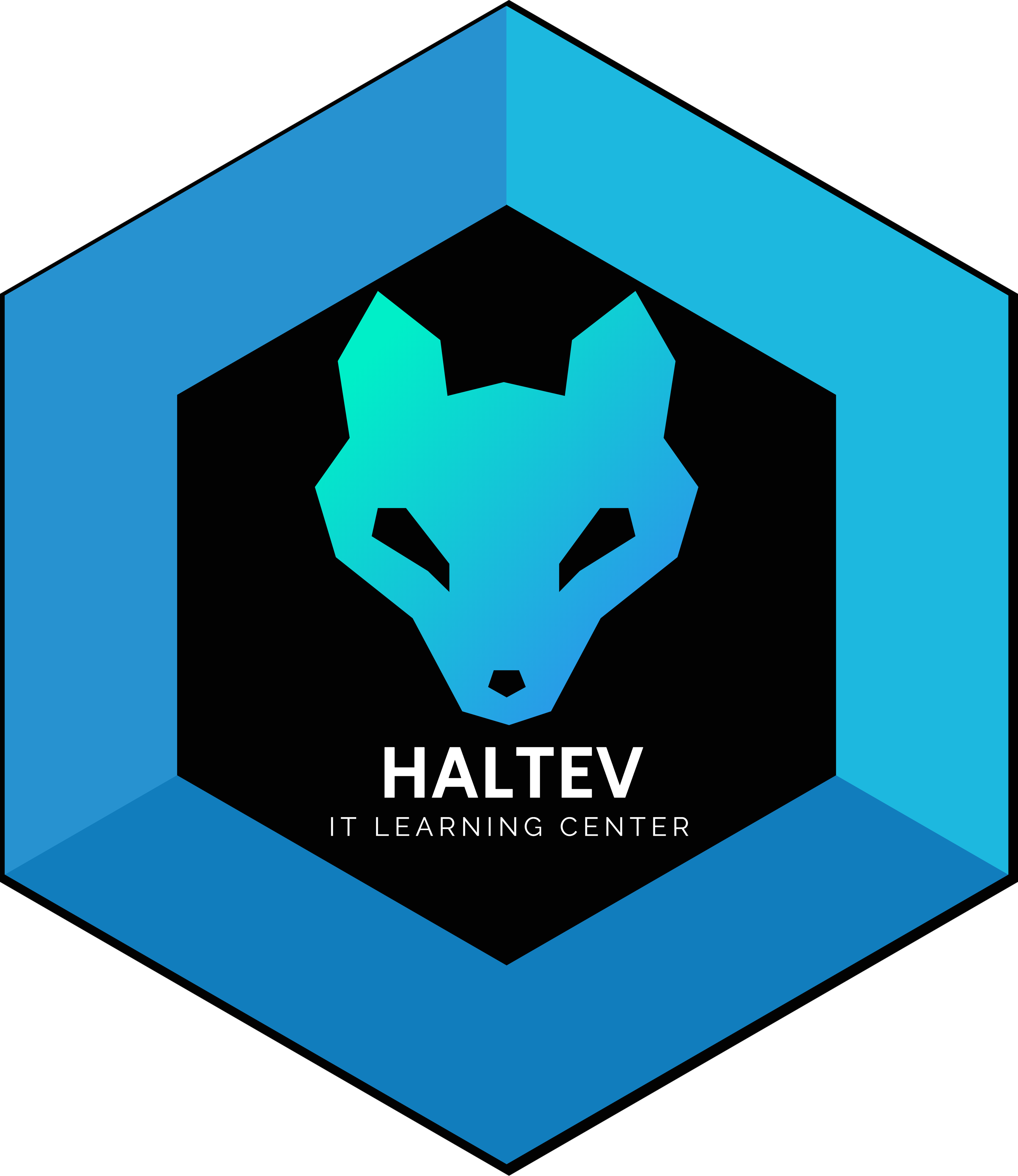 Haltev It Learning Center