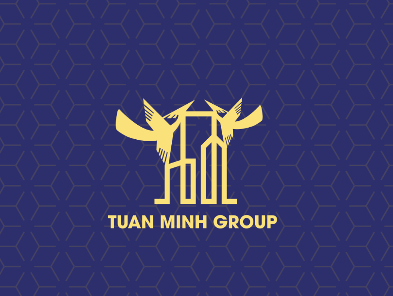 Tuấn Minh Group