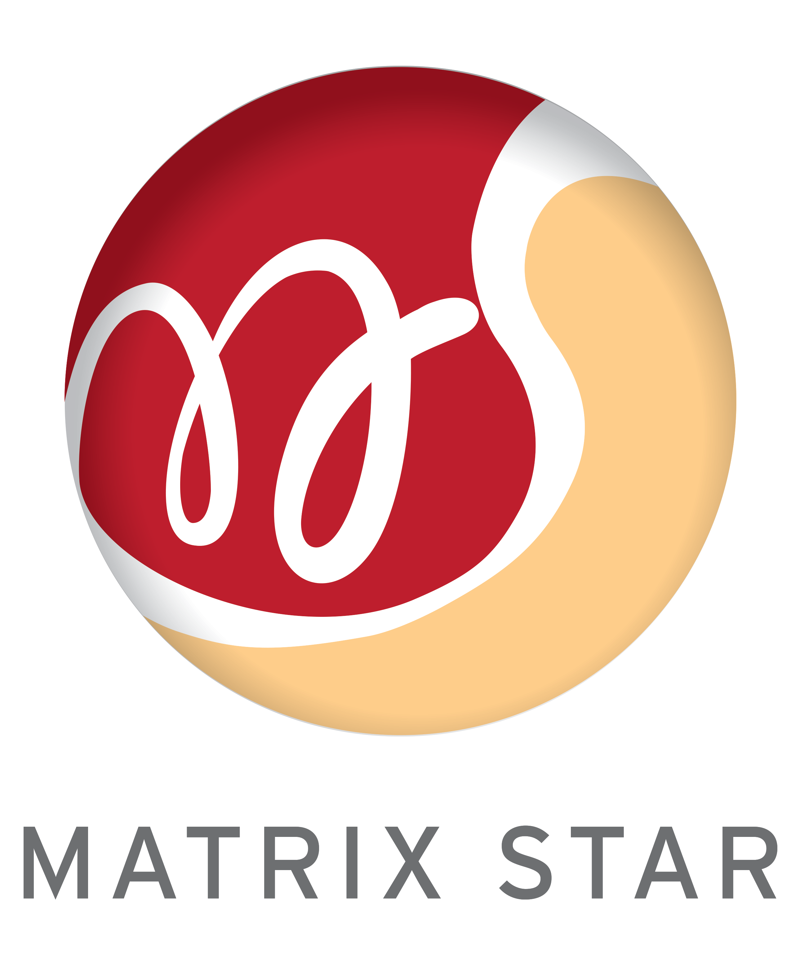 Matrix Star Marketing Pte Ltd is hiring a Brand ...