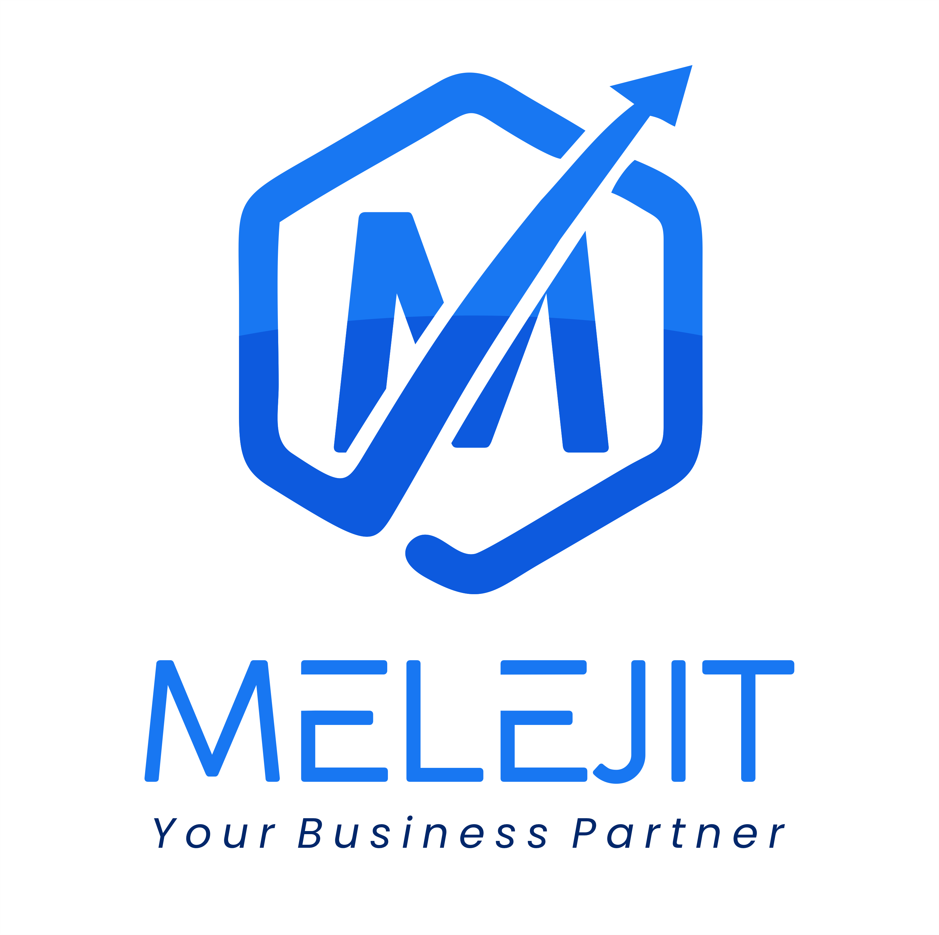 Melejit Project