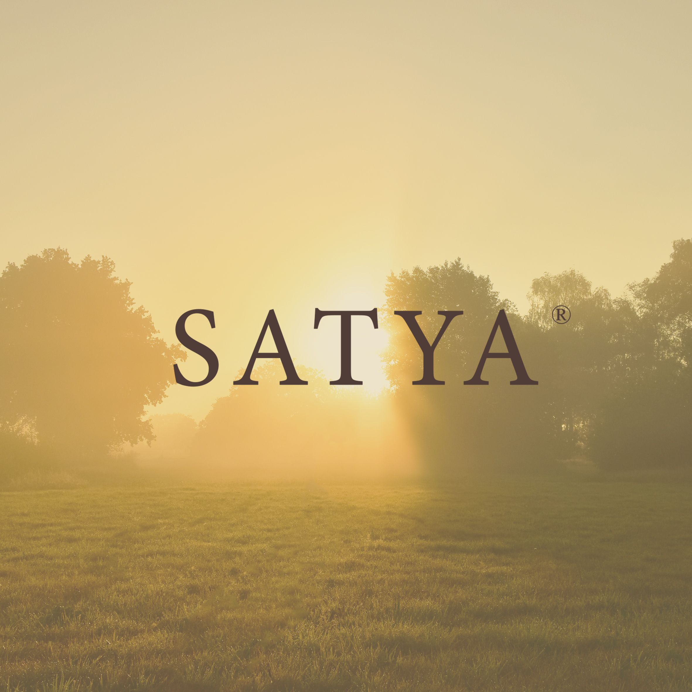 Satya Natural Juice