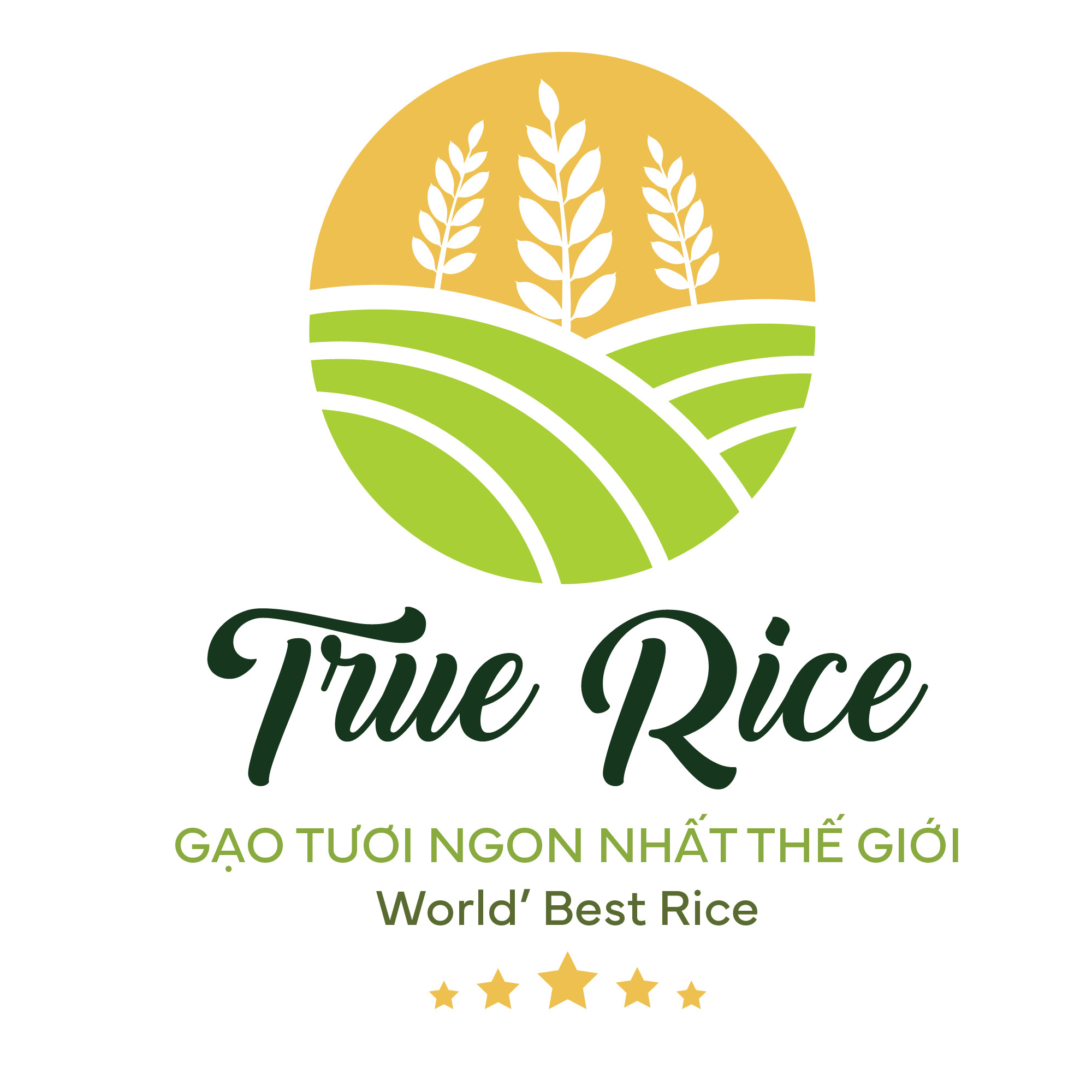 True Rice Trading Jsc