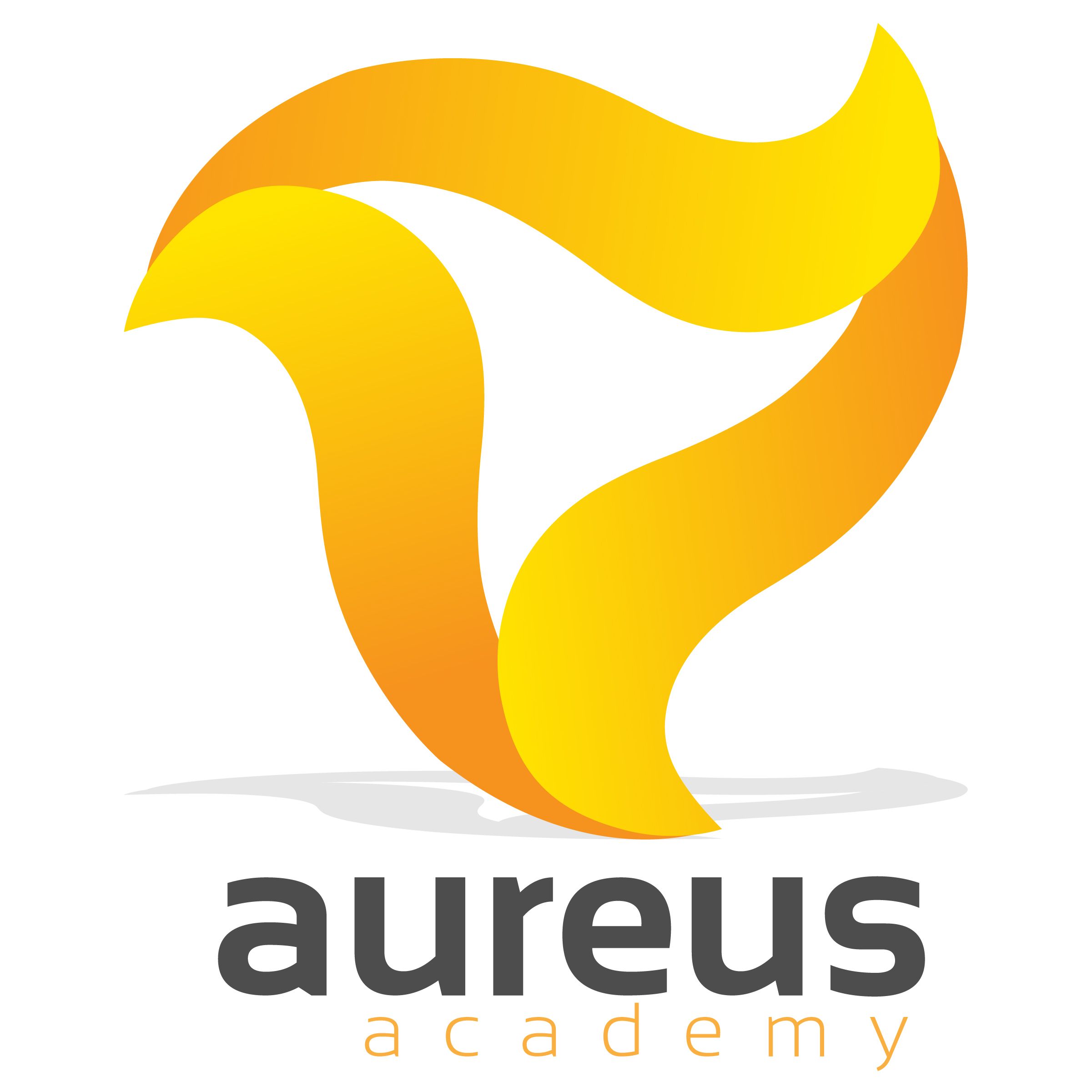 Aureus Group Pte. Ltd. 