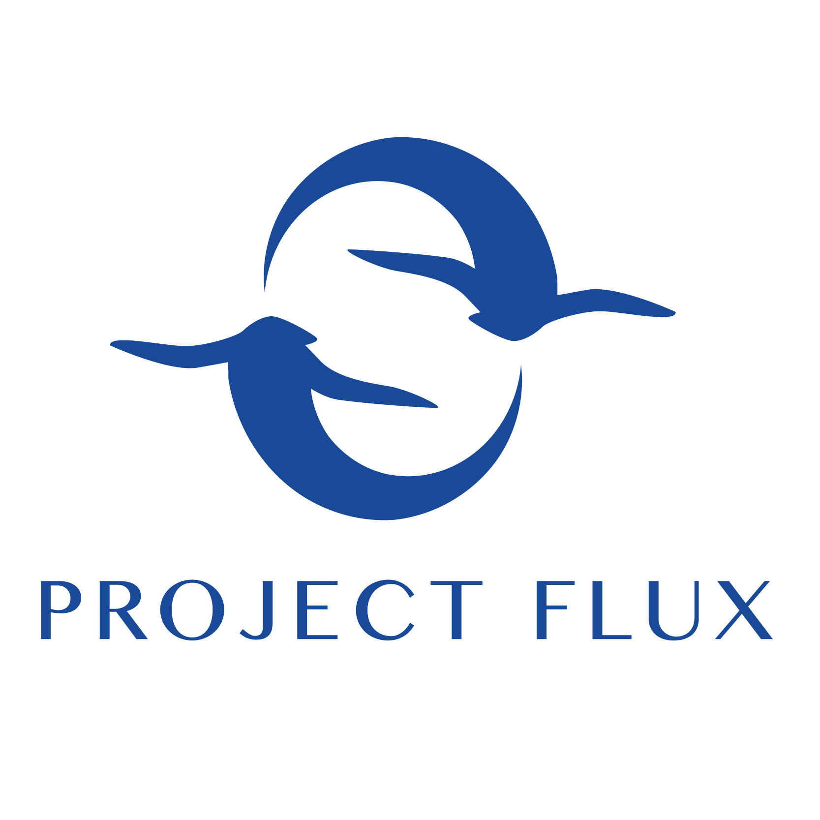Project Flux