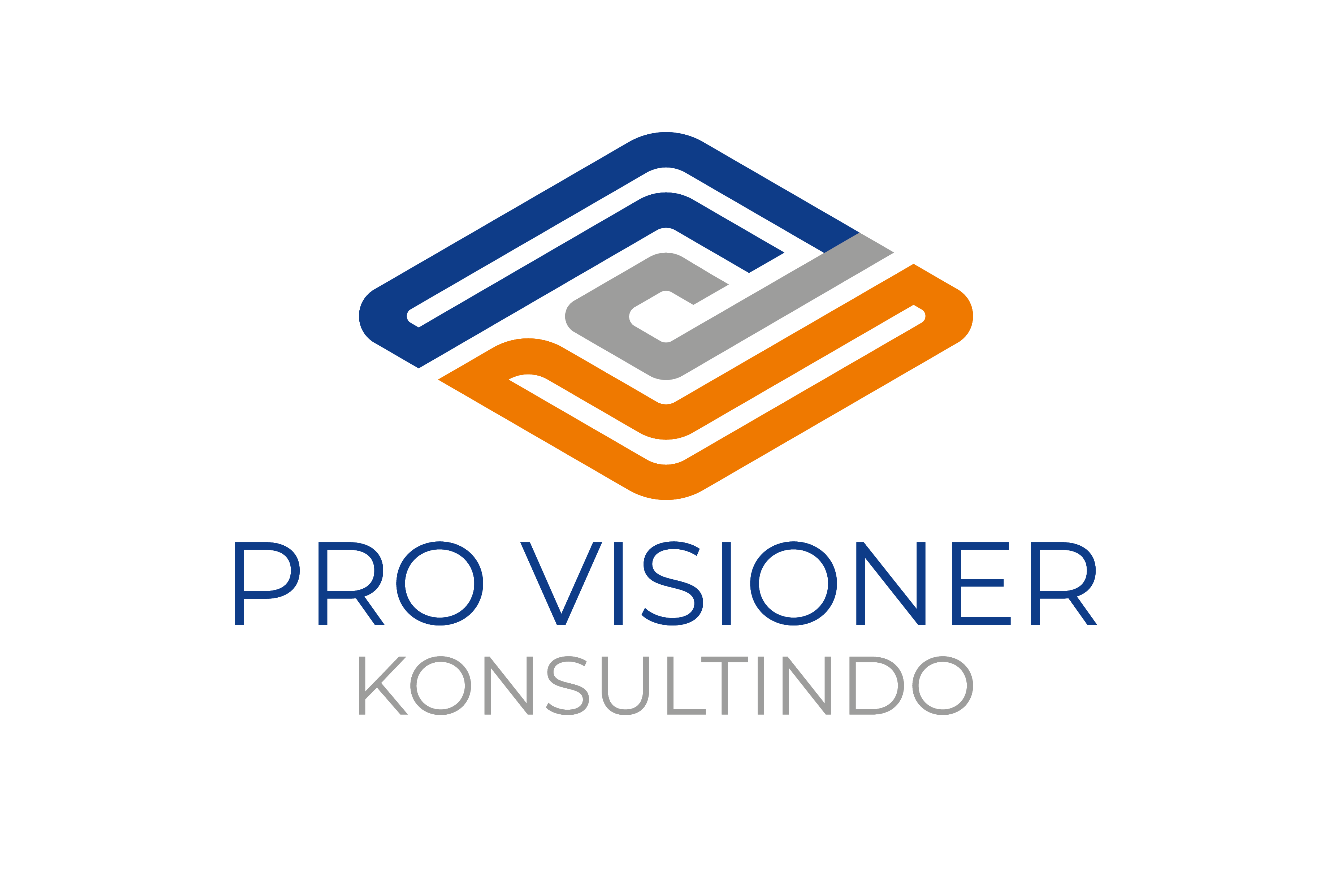 PT Pro Visioner Konsultindo