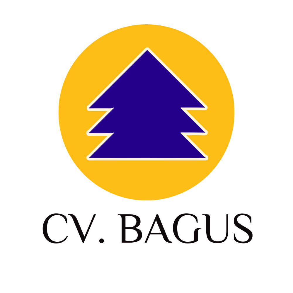 CV BAGUS