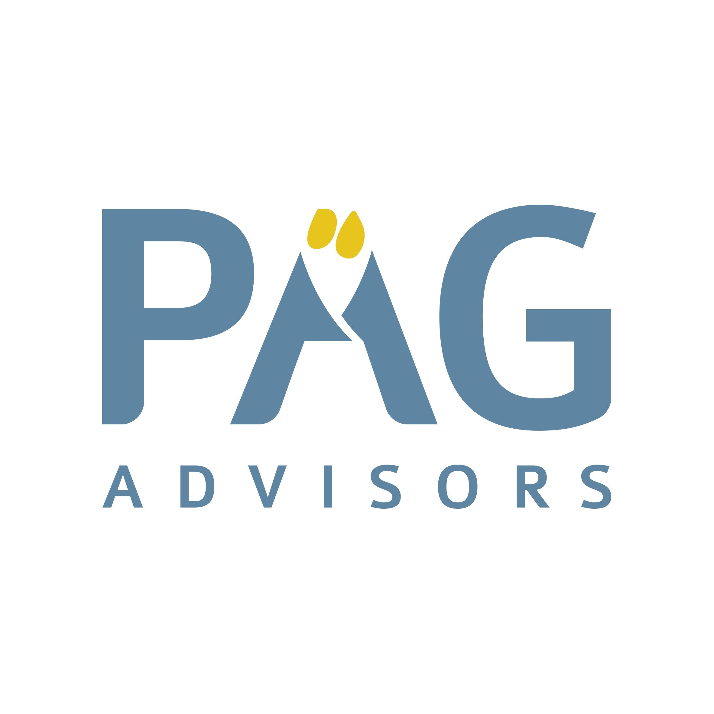 Pag Advisory Pte Ltd