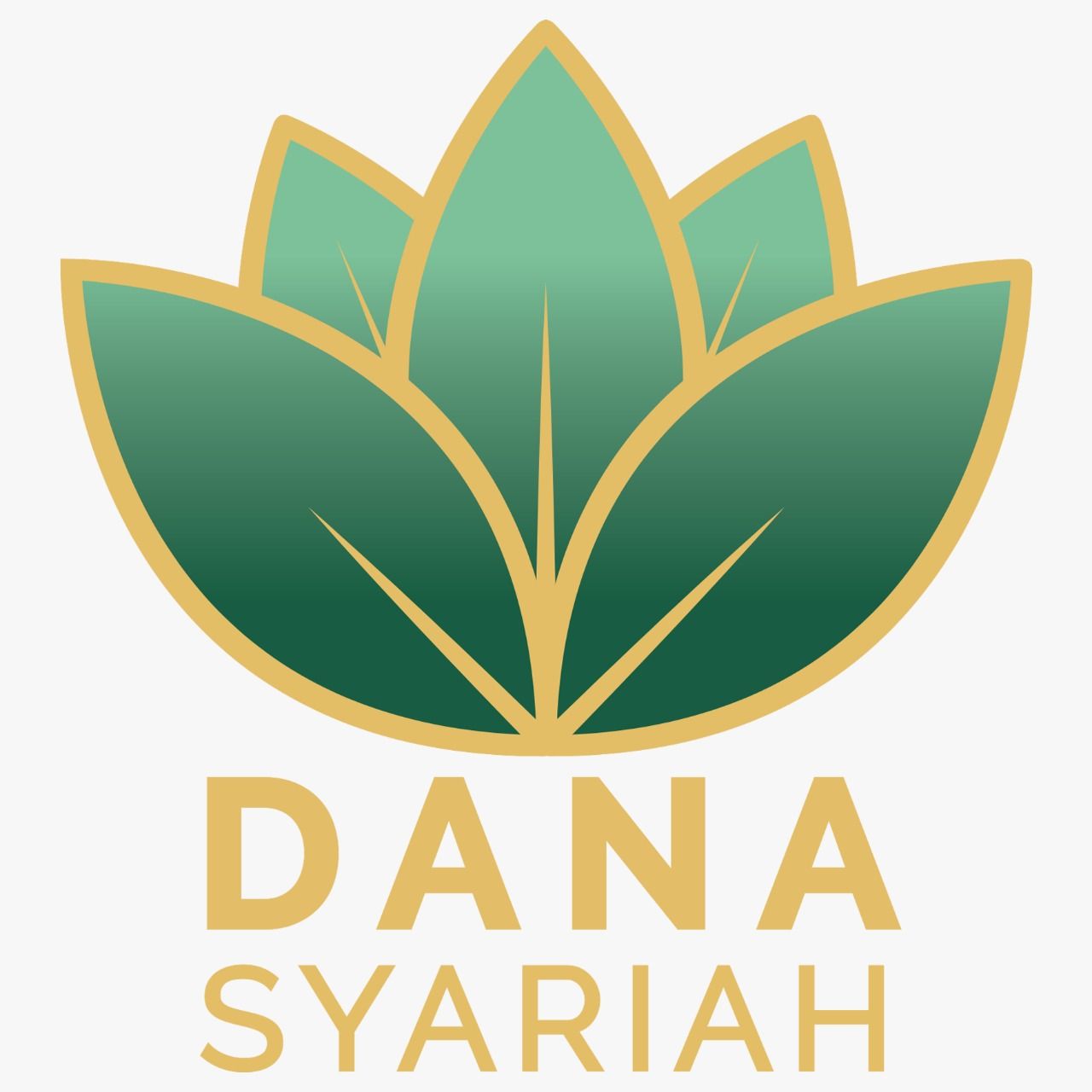 PT Dana Syariah Indonesia