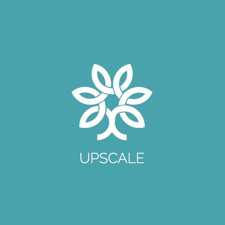 UPSCALE Coding Academy
