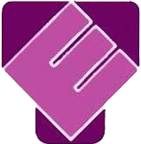 PT Transmaju Ekspresindo logo