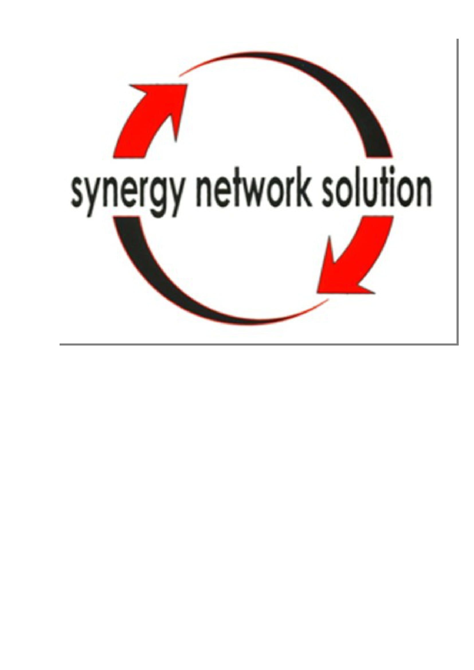 PT SYNERGY NETWORK SOLUTION