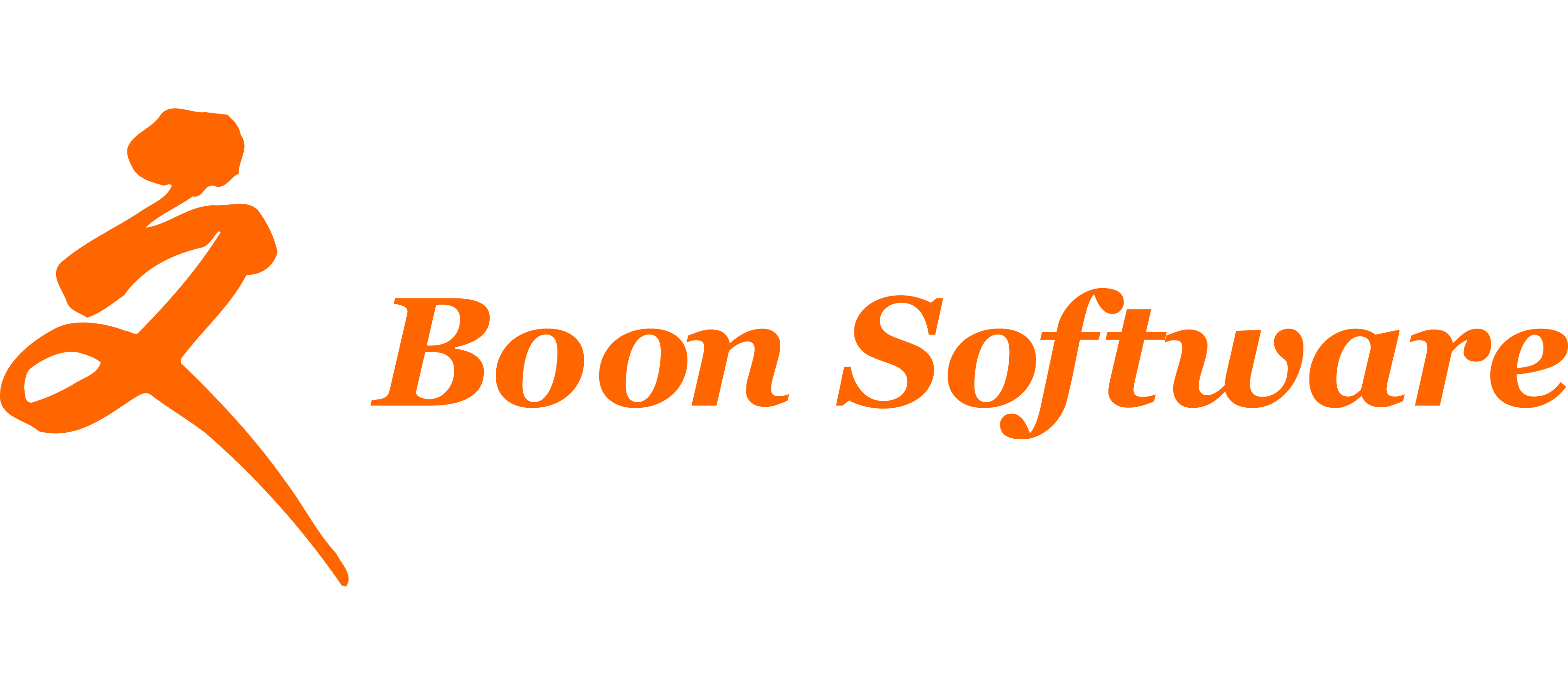 PT Boon Software